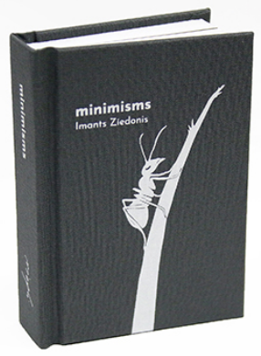 grāmata ar tumši pelēku vāku. Uz vāka baltā krāsā ir nosaukums “minimisms” un autors “Imants Ziedonis”. Vāka dizainā ir arī balts grafisks attēls, kas izskatās pēc kukaiņa uz zāles stiebra vai plānas auga kātiņa.