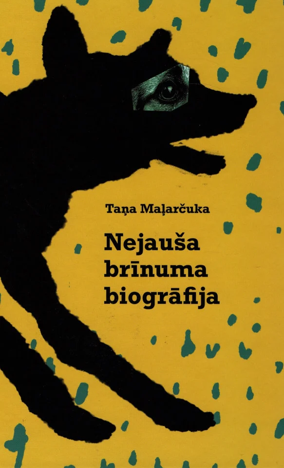 Nejauša brīnuma