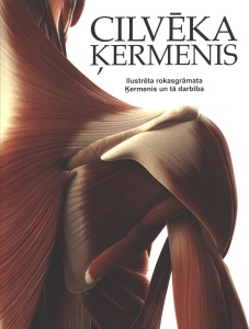 Cilvēka ķermenis