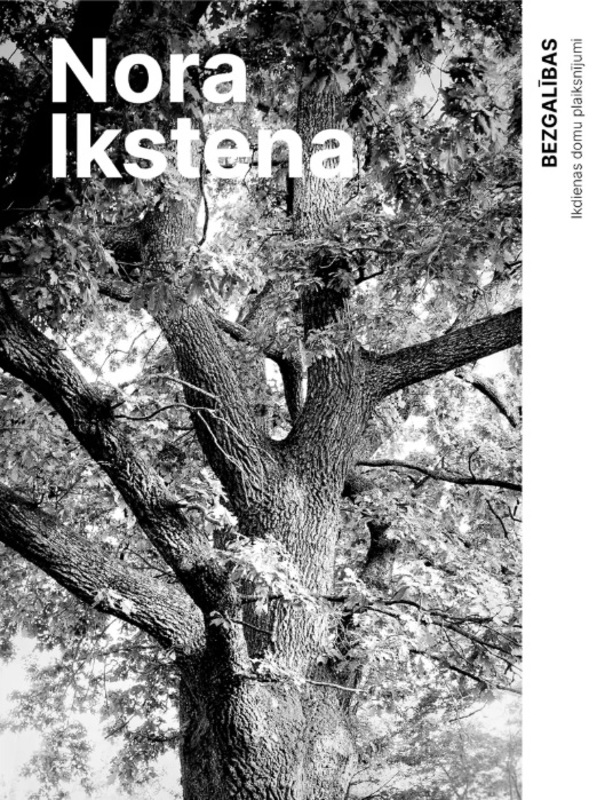 Bezgalības. Ikdienas domu plaiksnījumi